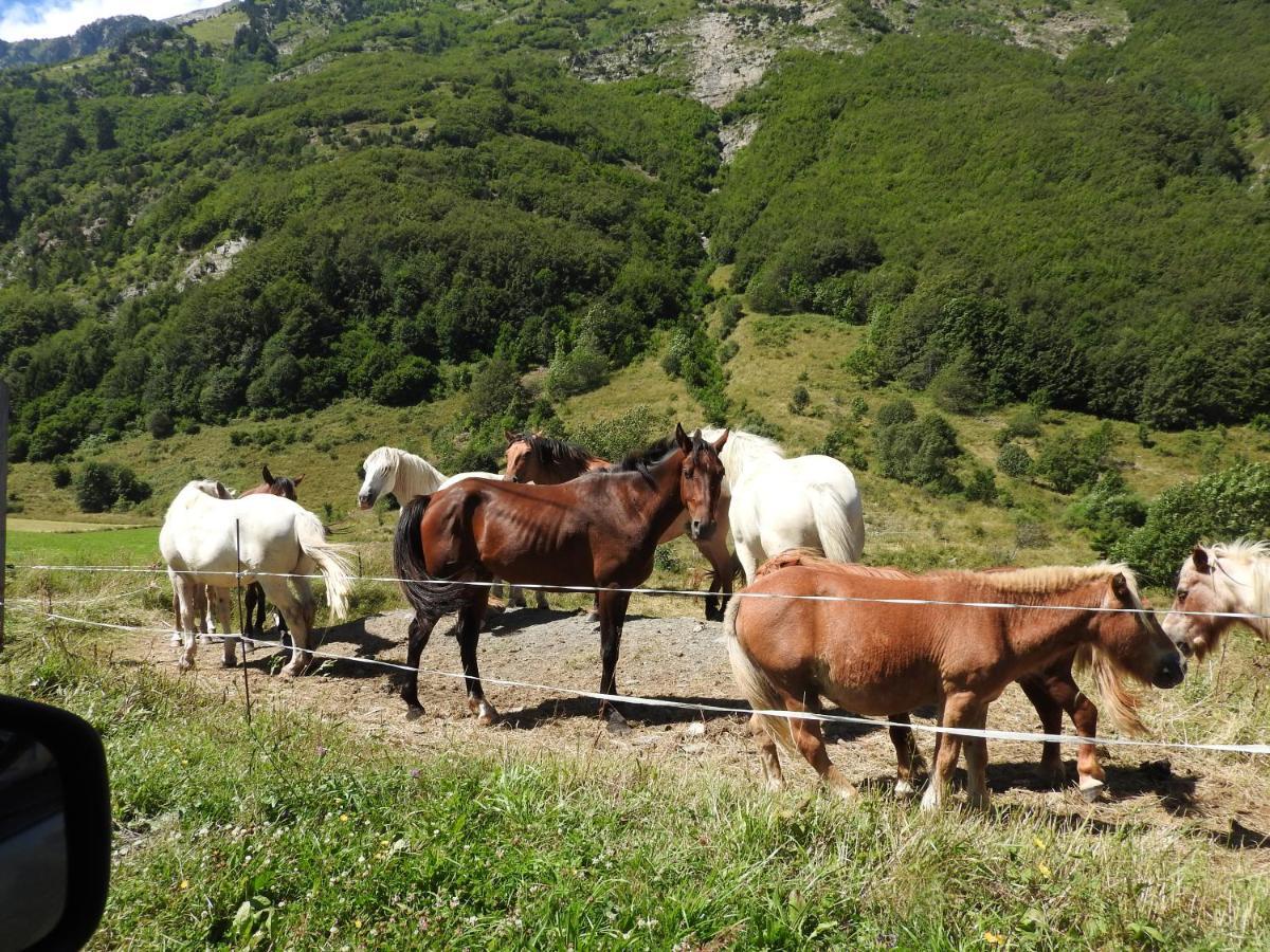 Gite Au Printemps Japonais, Petit Train De La Mure, Parc Des Ecrins Pierre-Chatel ภายนอก รูปภาพ